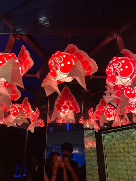 すみだ水族館に投稿された画像（2021/11/4）