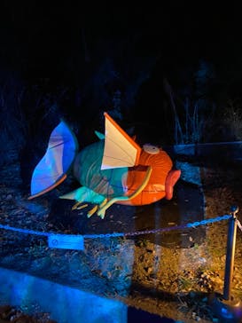 さがみ湖MORI MORIに投稿された画像（2021/11/4）