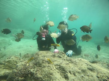 武藤潜水に投稿された画像（2021/11/4）