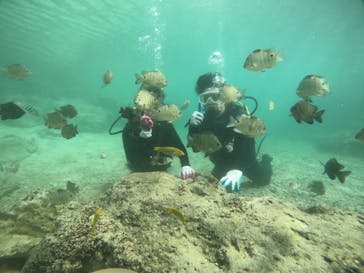 武藤潜水に投稿された画像（2021/11/4）