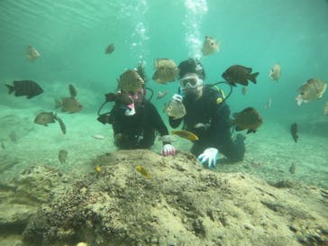 武藤潜水に投稿された画像（2021/11/4）