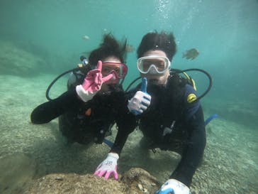 武藤潜水に投稿された画像（2021/11/4）