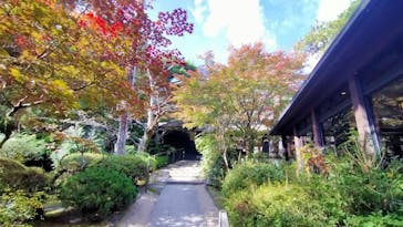 上方温泉 一休 京都本館に投稿された画像（2021/11/4）