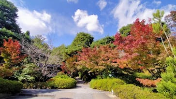 上方温泉 一休 京都本館に投稿された画像（2021/11/4）