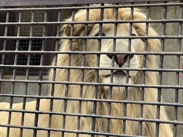 宇都宮動物園に投稿された画像（2021/11/4）