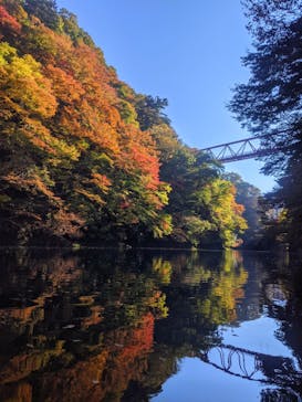 ノマドハウスに投稿された画像（2021/11/4）