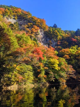 ノマドハウスに投稿された画像（2021/11/4）