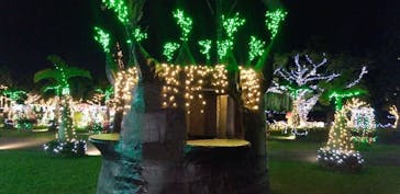 美らヤシパークオキナワ・東南植物楽園に投稿された画像（2021/11/4）