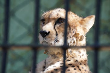 東武動物公園に投稿された画像（2021/11/4）