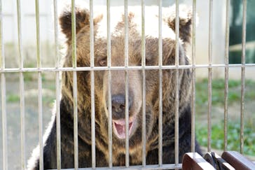 東武動物公園に投稿された画像（2021/11/4）