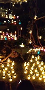 江の島シーキャンドルに投稿された画像（2021/11/4）