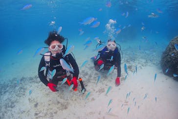 アクアドロップに投稿された画像（2021/11/4）