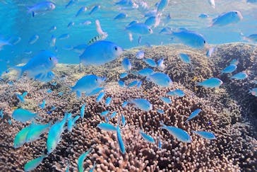 アクアドロップに投稿された画像（2021/11/4）