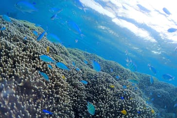 アクアドロップに投稿された画像（2021/11/4）