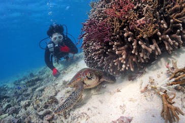 アクアドロップに投稿された画像（2021/11/4）