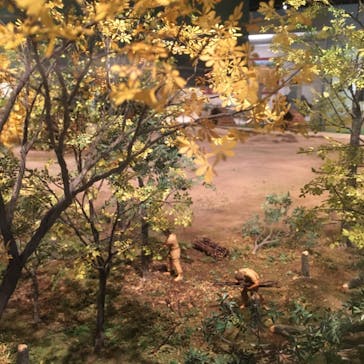 特別展「縄文2021―東京に生きた縄文人―」(江戸東京博物館）に投稿された画像（2021/11/4）