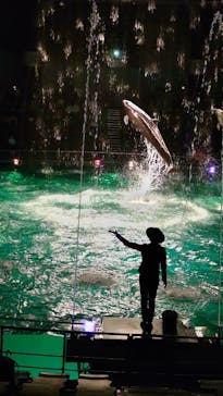 マクセル アクアパーク品川に投稿された画像（2021/11/4）