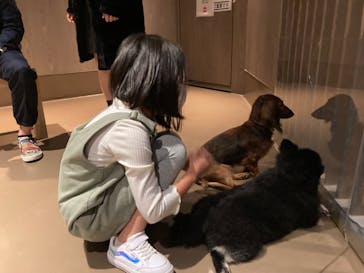 Moff animal world MARK IS みなとみらい店に投稿された画像（2021/11/4）