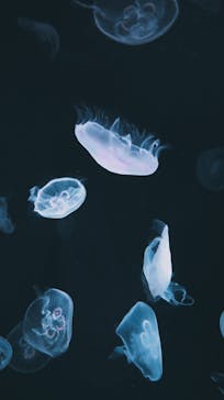 サンシャイン水族館に投稿された画像（2021/11/4）