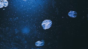 サンシャイン水族館に投稿された画像（2021/11/4）