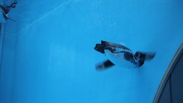 サンシャイン水族館に投稿された画像（2021/11/4）