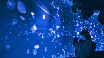 サンシャイン水族館に投稿された画像（2021/11/4）