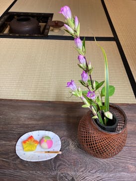 茶禅に投稿された画像（2021/11/4）