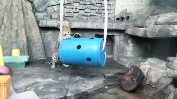 天王寺動物園に投稿された画像（2021/11/4）