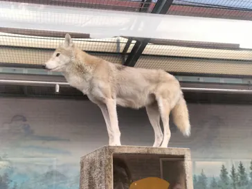 天王寺動物園に投稿された画像（2021/11/4）