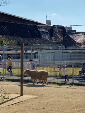 天王寺動物園に投稿された画像（2021/11/4）