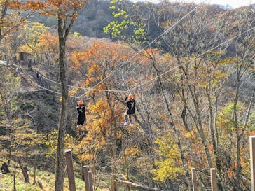 びわ湖バレイに投稿された画像（2021/11/4）