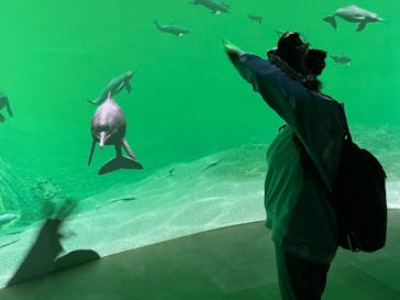 カワスイ 川崎⽔族館に投稿された画像（2021/11/4）