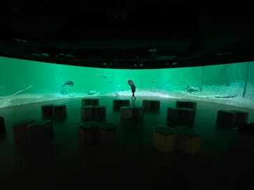 カワスイ 川崎⽔族館に投稿された画像（2021/11/4）