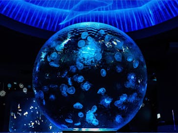 新江ノ島水族館に投稿された画像（2021/11/5）