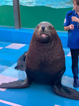 ゼロ距離水族館 伊勢シーパラダイスに投稿された画像（2021/11/5）