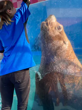 ゼロ距離水族館 伊勢シーパラダイスに投稿された画像（2021/11/5）