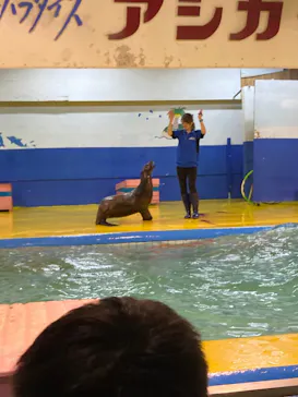 ゼロ距離水族館 伊勢シーパラダイスに投稿された画像（2021/11/5）