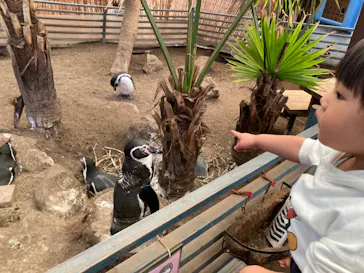 ゼロ距離水族館 伊勢シーパラダイスに投稿された画像（2021/11/5）