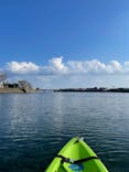 屋久島ダイビングガイド マリンクラブカイオロヒアに投稿された画像（2021/11/5）