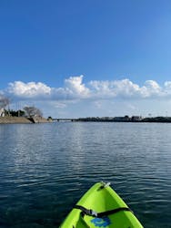 屋久島ダイビングガイド マリンクラブカイオロヒアに投稿された画像（2021/11/5）