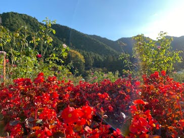 丹波市立薬草薬樹公園　丹波の湯に投稿された画像（2021/11/5）