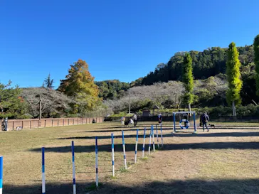 わんダフルネイチャーヴィレッジに投稿された画像（2021/11/5）