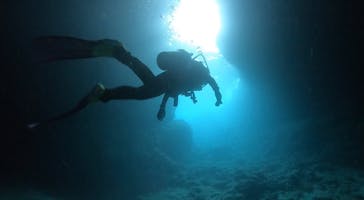 DIVING-SHOP SUNSに投稿された画像（2021/11/5）