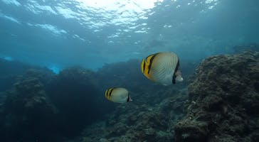 DIVING-SHOP SUNSに投稿された画像（2021/11/5）