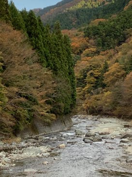 道志川温泉紅椿の湯に投稿された画像（2021/11/5）