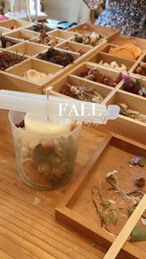 une graine（アングレンヌ）に投稿された画像（2021/11/5）