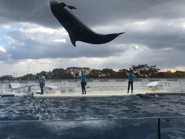 京都水族館に投稿された画像（2021/11/5）