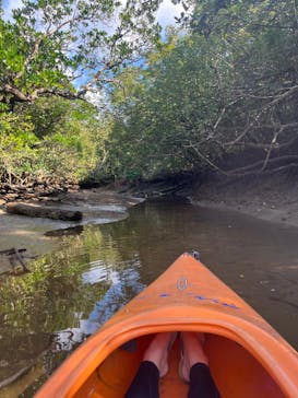 マングローブ茶屋に投稿された画像（2021/11/5）