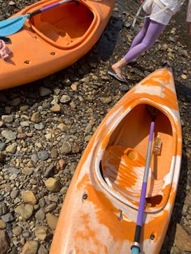 マングローブ茶屋に投稿された画像（2021/11/5）