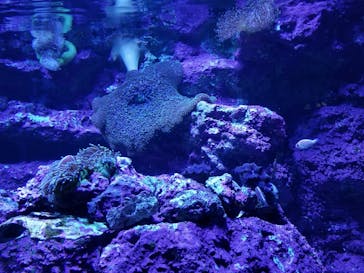 サンシャイン水族館に投稿された画像（2021/11/5）